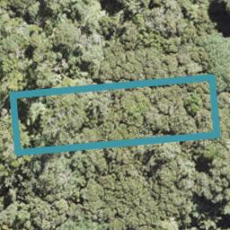 15 Waikarekare Lane, Karekare, Auckland