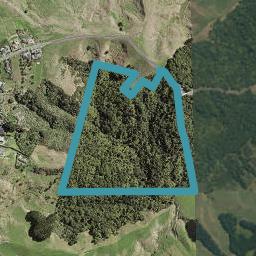 31 Umbria Lane, Flat Bush, Auckland