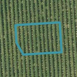 0 Old Renwick Road, BLENHEIM