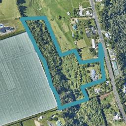 580A Pyes Pa Road, Pyes Pa, Tauranga