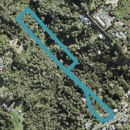 126 Lonely Track Road, Redvale, Auckland