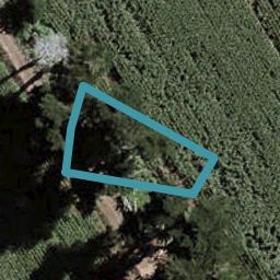 4 Uatoto Road, Clarks Beach, Clarks Beach