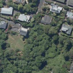 33 Bruce Street, Roslyn, Dunedin
