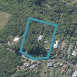 22 Tui Street, Saint Leonards, Dunedin