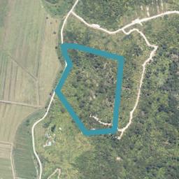 0 Kongahu Swamp Road, Little Wanganui, Karamea