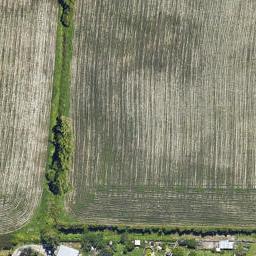 0 Seddon Street, Te Puke, TE PUKE