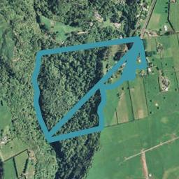 60 Williams Road South, Pyes Pa, Tauranga