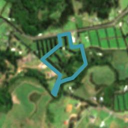 363 Puketotara Road, Waipapa, Kerikeri