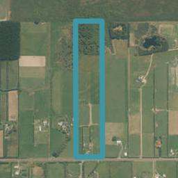495 Flora, MAKAREWA, INVERCARGILL