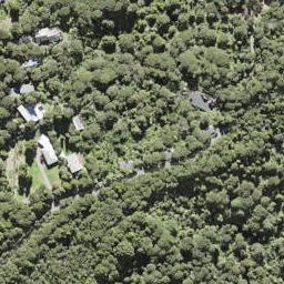 14 Walker Road, Henderson Valley, Auckland