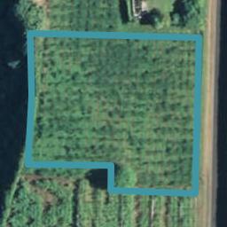224 No 3 Road, Te Puke, Te Puke
