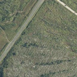 891 Ruatapu-Ross Road, Totara River