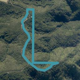708 McIntyre Road, Kawakawa, Kawakawa