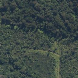 44 Stuart Street, Lake Kaniere, Kokatahi