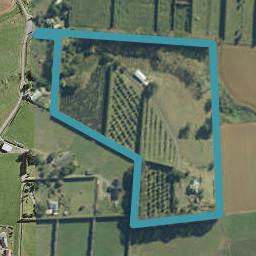 79 Jamieson Road, Buckland