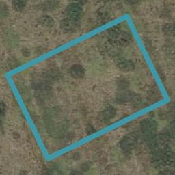 21 Halley Drive, Chartwell, Hamilton