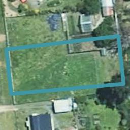 36 Bear Street, Waverley, Waverley