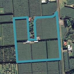 206 Tablelands Road, Tirohanga, Opotiki
