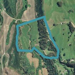 1114 Maniatutu Road, Pongakawa, Te Puke