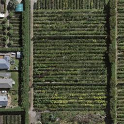 32 Rakau Lane, Waikiwi, Invercargill