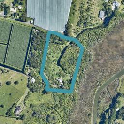 88E PAHOIA ROAD, Whakamarama, Tauranga