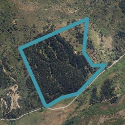 3900 Northbank Road, North Bank, Wairau Valley