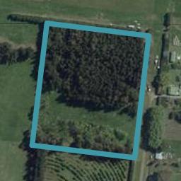 25 Mona Vale Street, WAIKARI, Waikari