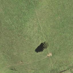17 Onekura Street, Pukekohe, Pukekohe