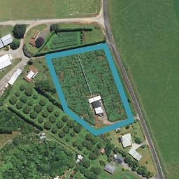 472 Youngson Road, Whakamarama, Whakamārama