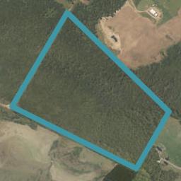 347 Orepuki-Riverton Highway, LONGWOOD, RIVERTON