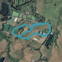55 STEWART ROAD, Whakamarama, Western Bay Of Plenty