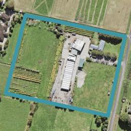 8 Bristol Road, Whenuapai, Auckland