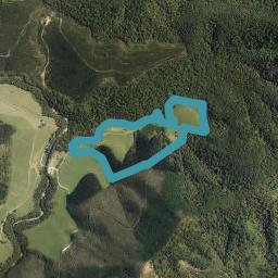 418 Tinline Valley, Pelorus Bridge, Rai Valley