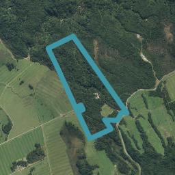 522 Taramakau Settlement Road, Hohonu, Kumara