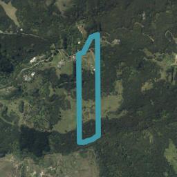 84 Woods Road South, Colville, Coromandel