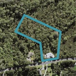 164 Elmore Road, Albany