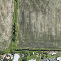 0 Seddon Street, Te Puke, TE PUKE