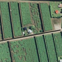 856C Oropi Road, Oropi, Oropi