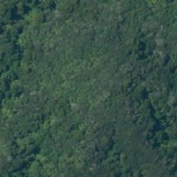 0 Whaanga Road, Raglan, Raglan