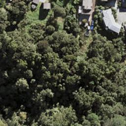 25 Quail Drive, Albany Heights, Auckland