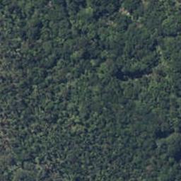 354 Arnold Valley Road, ARNOLD VALLEY