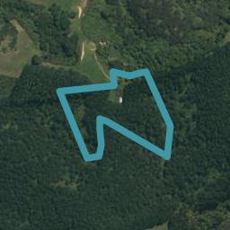 378D Ara-kotinga, Whitford, Whitford