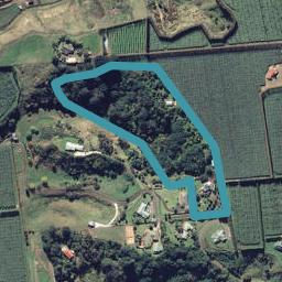 155G Gow Road, Tirohanga, Opotiki