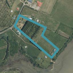 168 Opureora Road, Matakana Island, Matakana Island