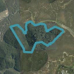 0 Paihia Road, Opua Forest, Kawakawa