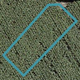 7 Ritetai Street, Clarks Beach, Clarks Beach