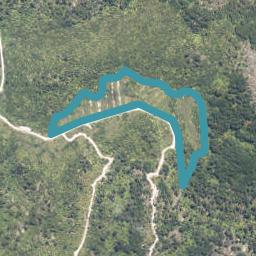 0 Kongahu Swamp Road, Little Wanganui, Karamea