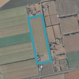 21 Kennels Road, Tinwald, Ashburton