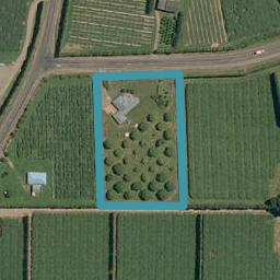881 No 1 Road, Te Puke, Te Puke
