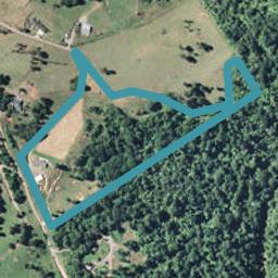 1039E Work Road, Whakamarama, Katikati